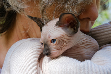 Similar image 21497046