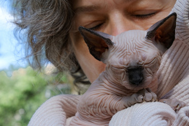 Similar image 21497047