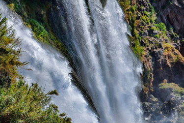 Similar image 21496733