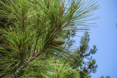 Similar image 21496738