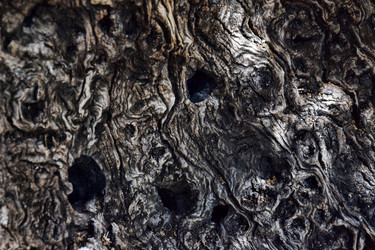 Similar image 21496739