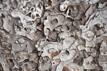 Similar image 21496740