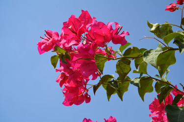 Similar image 21496741