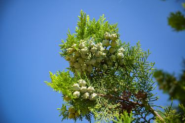 Similar image 21496742