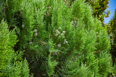 Similar image 21496743