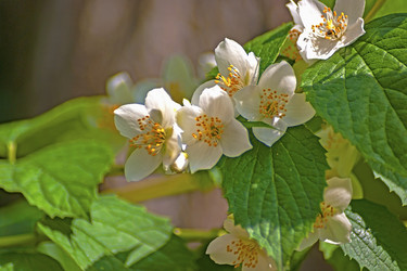 Similar image 21497274