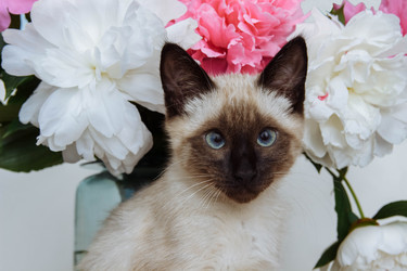 Similar image 21498355