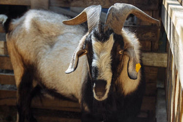 Similar image 21498357