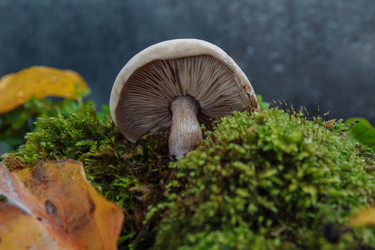 Similar image 21498363