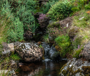 Similar image 21497643