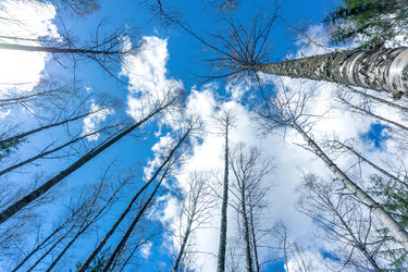 Similar image 21497298