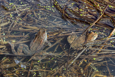 Similar image 21497300