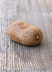 Similar image 21497308