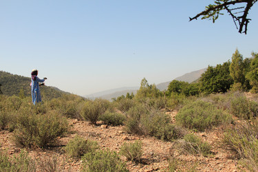 Similar image 21498734