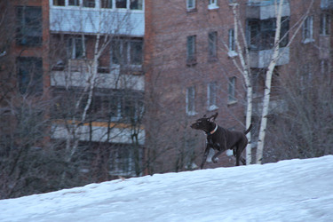 Similar image 21498740