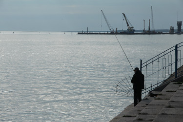 Similar image 21498741