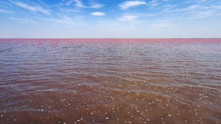 Similar image 21497342