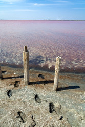 Similar image 21497344