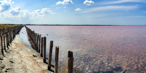 Similar image 21497346