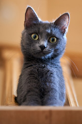 Similar image 21497380