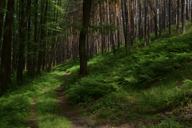 Similar image 21498327