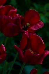 Similar image 21498328