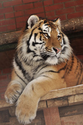 Similar image 21503879