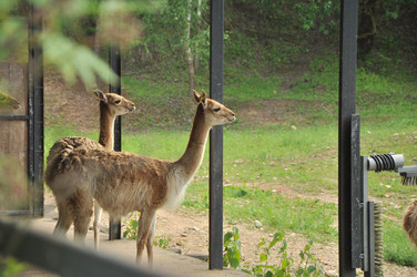 Similar image 21503880