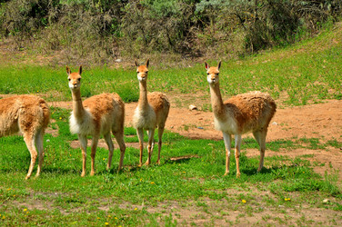 Similar image 21503881