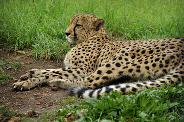 Similar image 21503882