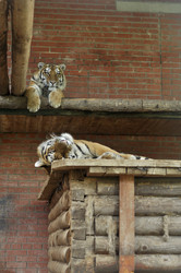 Similar image 21503883