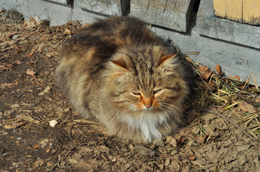 Similar image 21503884