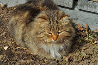 Similar image 21503885