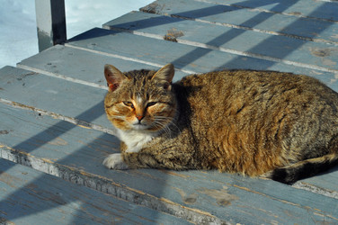 Similar image 21503980