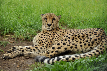 Similar image 21503981