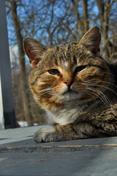 Similar image 21503982