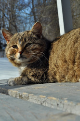 Similar image 21504159