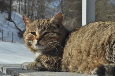 Similar image 21504160