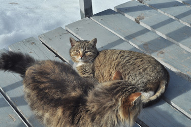 Similar image 21504161