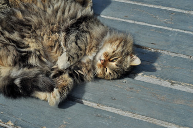 Similar image 21504163