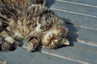 Similar image 21504165