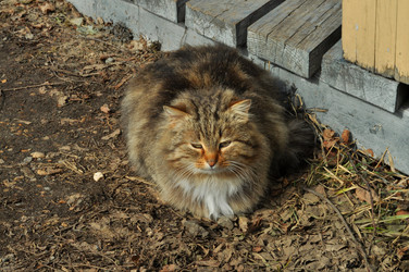 Similar image 21504166