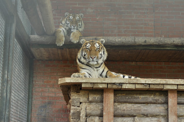 Similar image 21504167