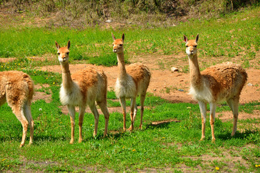 Similar image 21504287