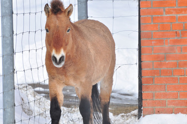 Similar image 21503662