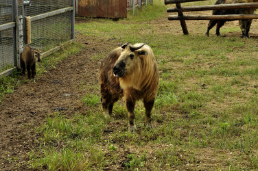 Similar image 21503664