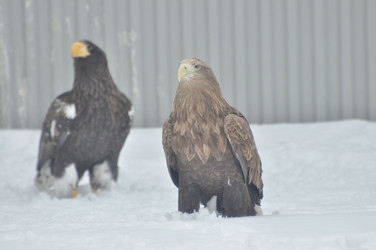 Similar image 21503665