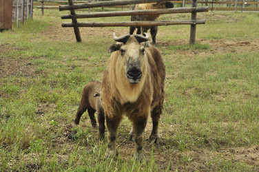 Similar image 21503668