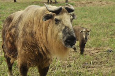 Similar image 21503671