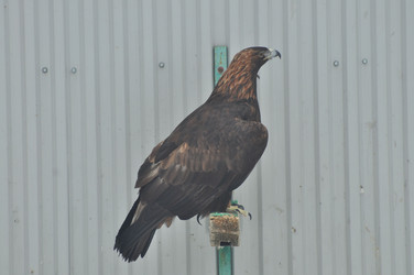 Similar image 21503674